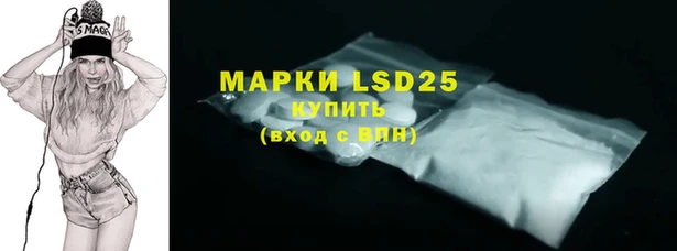 стафф Алексин