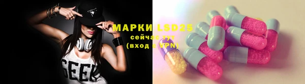 хмурый Алзамай