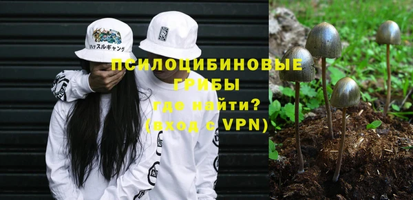 ешки Алексеевка