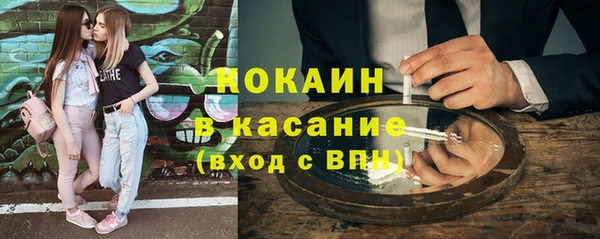 стафф Алексин