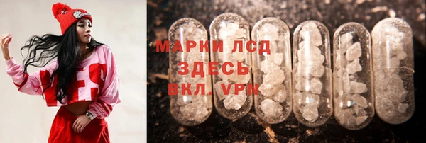 хмурый Алзамай
