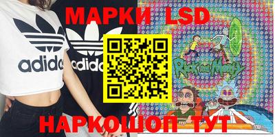 ГАЛЛЮЦИНОГЕННЫЕ ГРИБЫ Кинель