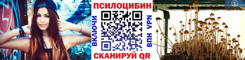 Галлюциногенные грибы MAGIC MUSHROOMS Мичуринск