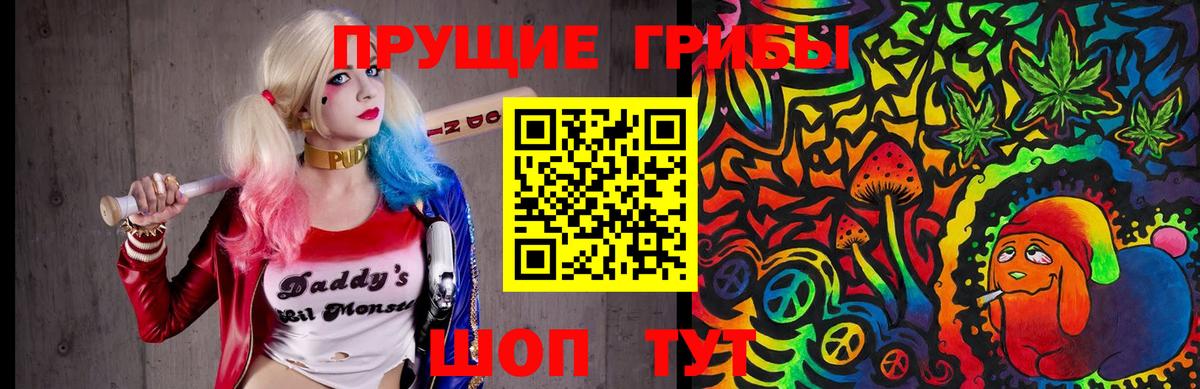 Псилоцибиновые грибы мухоморы  как найти закладки  Мичуринск  Вход с VPN 