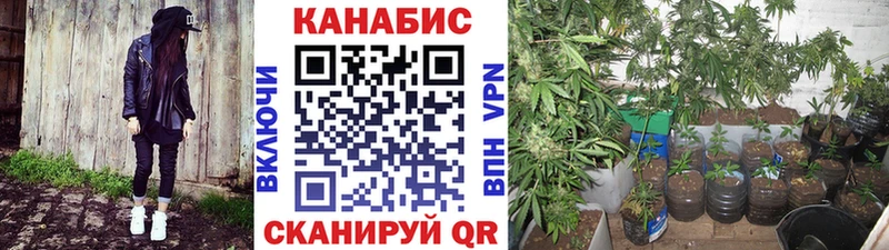 Бошки Шишки VHQ  Мичуринск 